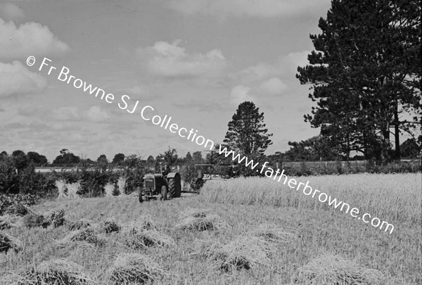 TRACTOR HARVESTING WINTER WHEAT PORTARLINGTON AVENUE